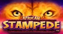 african_stampede_image
